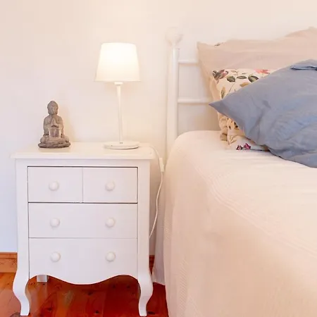 Window To The Valley