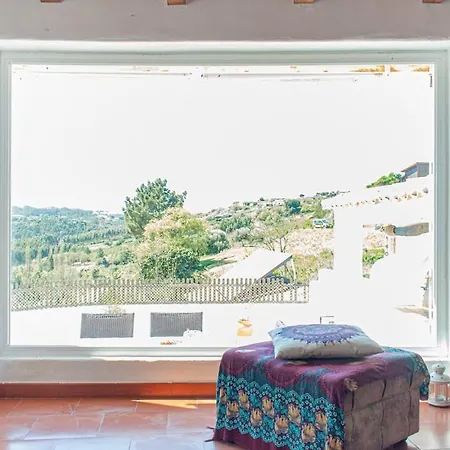 Window To The Valley