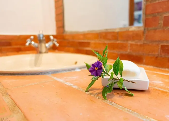 Сasa de vacaciones Window To The Valley *